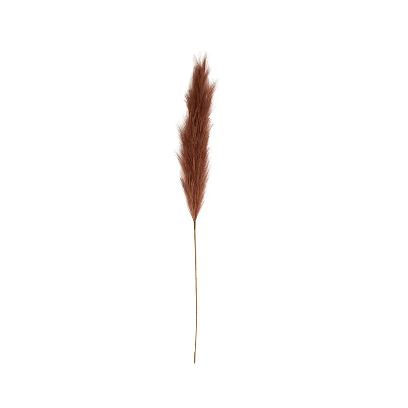 Bloomery Auburn Pampas Grass Stem – Fluffy Dried Grass Accent, 114 Cm Tall 1