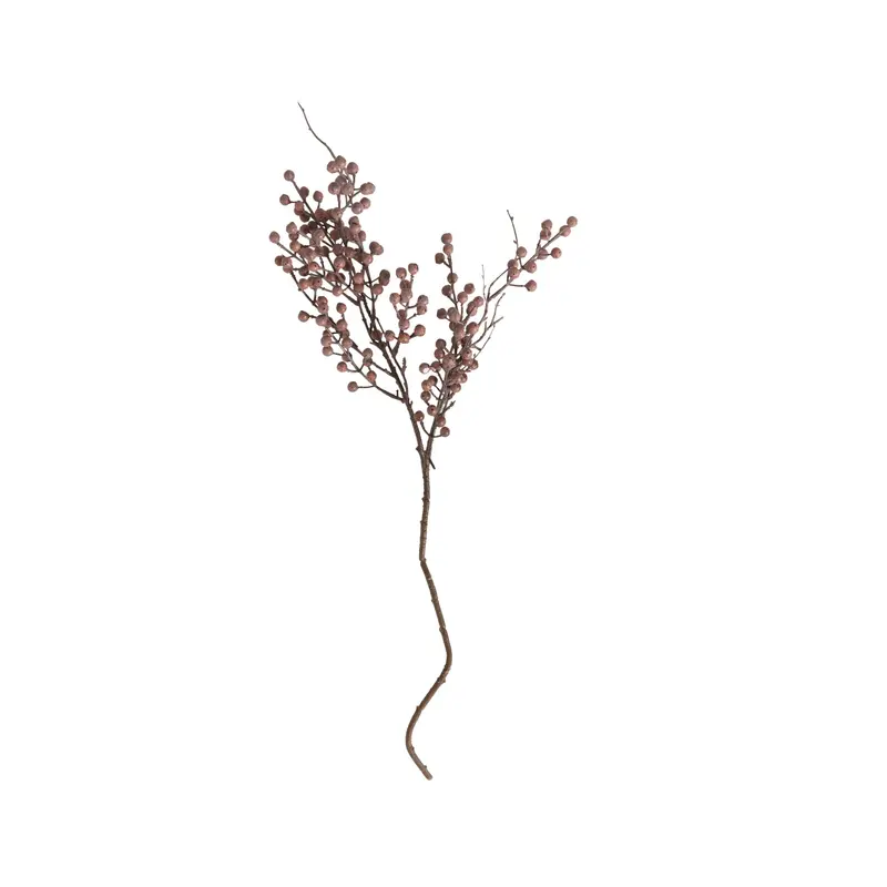 Bloomery Dried Eucalyptus Pod Stem – Natural-Looking Botanical Accent, 74 Cm 1