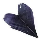 Condor Feather Substitute – Veniard 1