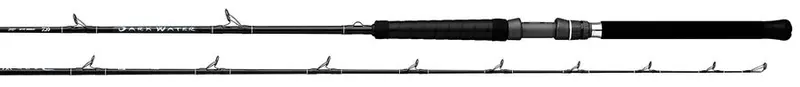 Daiwa 2025 Darkwater Conventional Fishing Rods 1