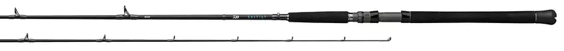 Daiwa Saltist Inshore Spinning Rod – Balanced Light-Tackle Saltwater Rod 1