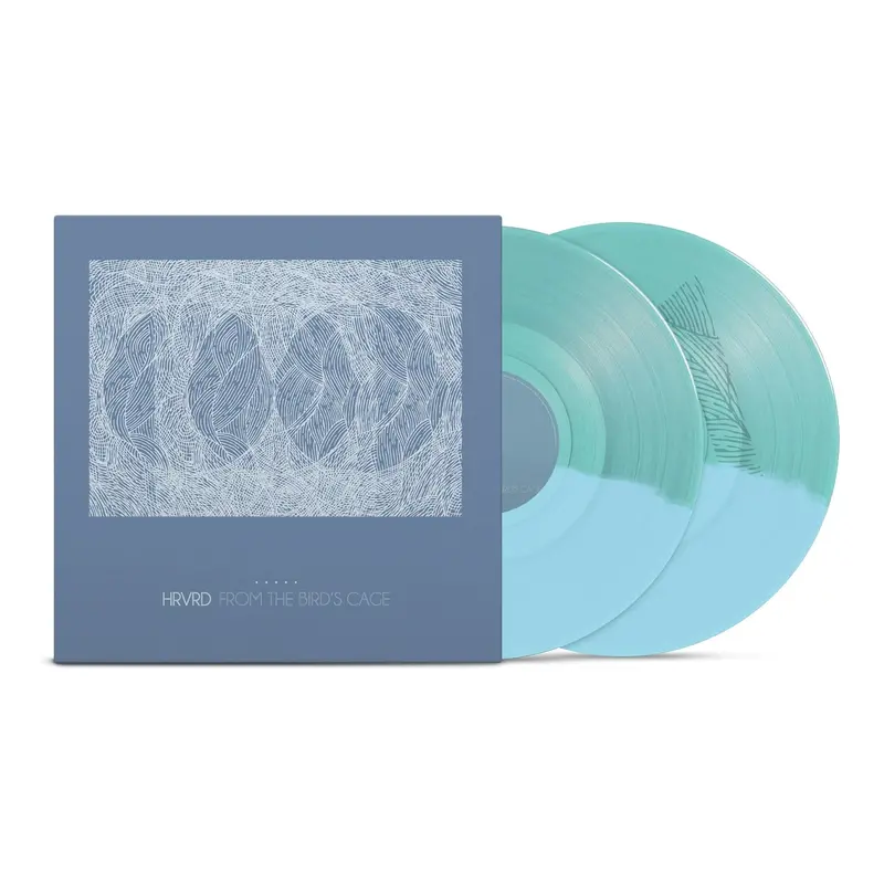 From The Bird’S Cage – Double Lp: Half Translucent Blue / Half Opaque Blue With Screen-Printed D-Side – Ultra-Limited (150 Copies) 1