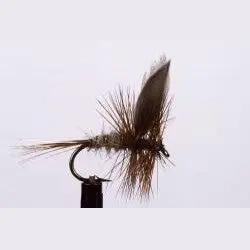 Gold-Ribbed Hare'S Ear Nymph Dry Flies (6-Pack) 1