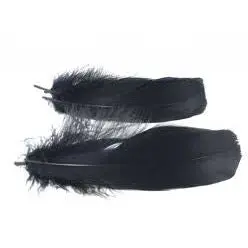 Goose Shoulder Feathers – Wapsi 1