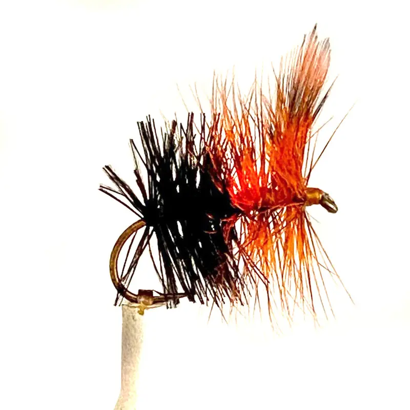 Great Lakes Beetle Dry Fly – Pack Of 6 1