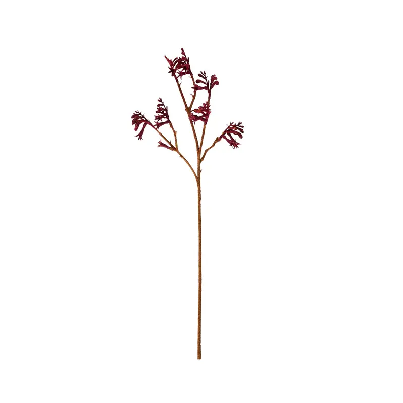Kangaroo Paw Stem – 61Cm Exotic Artificial Floral Stem 1