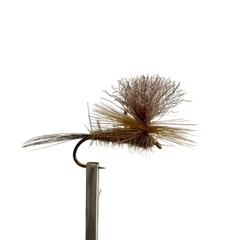 Kossie Para Dun Fly Pattern – 6-Count 1