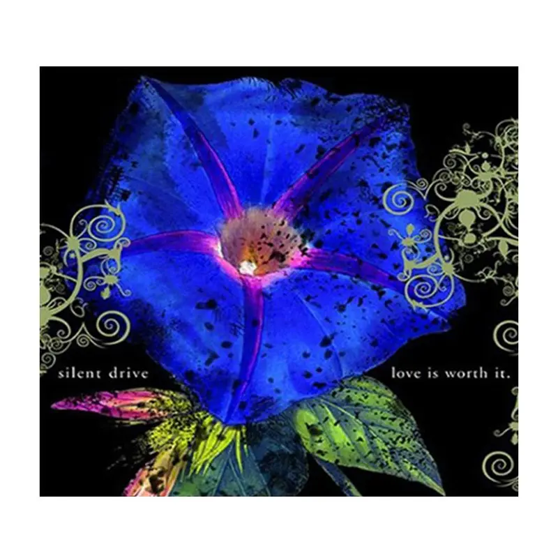 "Love Is Worth It" Audio Cd – Full-Length Album 1