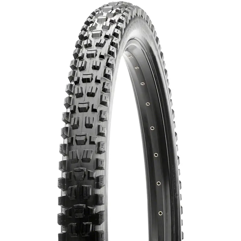 Maxxis Assegai Dual-Purpose Downhill & Trail Tire 1