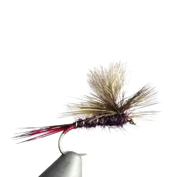 Parachute Claret Possum Emerger Dry Flies (6-Pack) 1