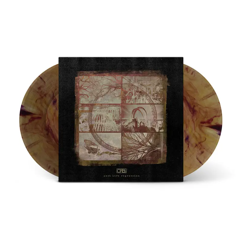 Past Life Regression Vinyl Lp • Brown-Maroon Swirl • Collector’S Edition Of 500 1