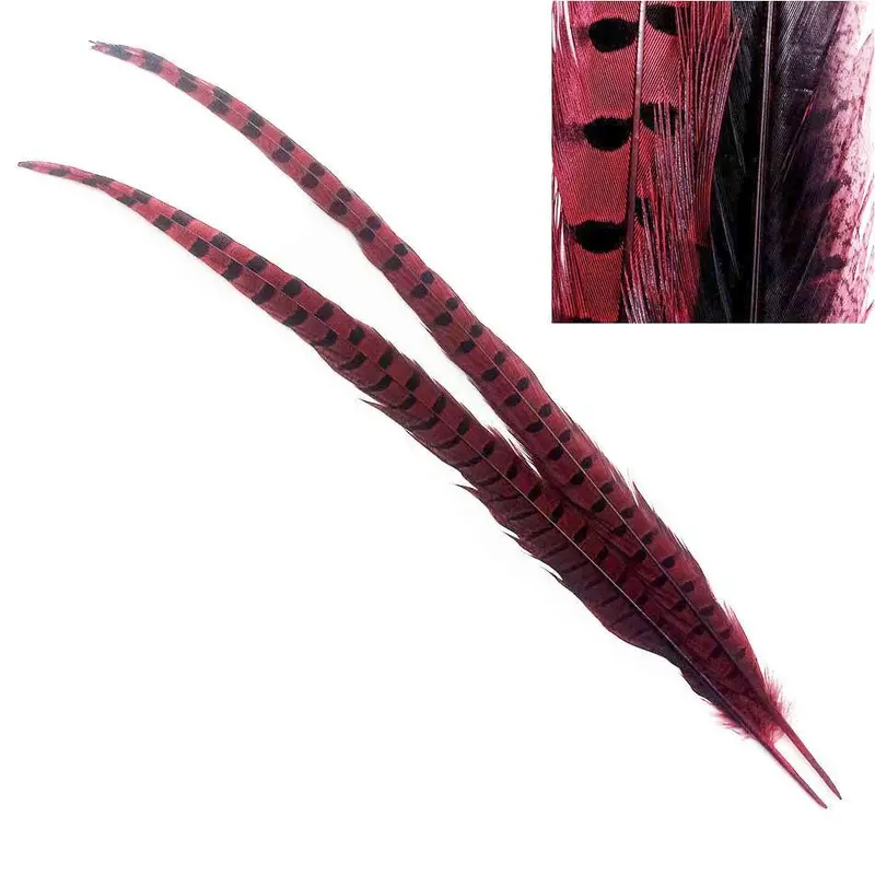 Ringneck Pheasant Tail Feathers (Twin Pack) – Wapsi 1