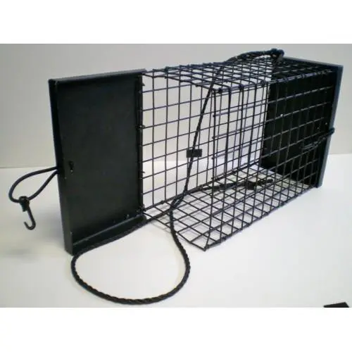 R&R Tackle Collapsible Chum Cage For Easy Storage & Deployment 1