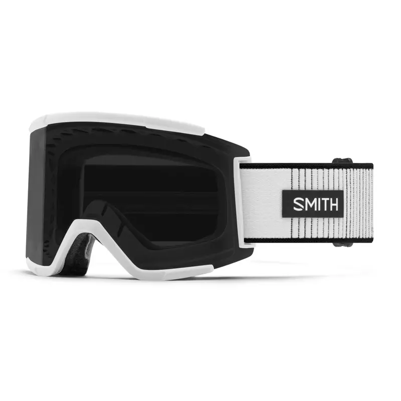 Smith Squad Xl Oversized Ski & Snowboard Goggles 19