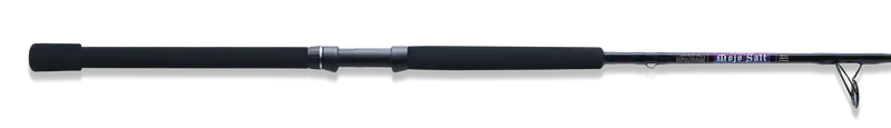 St. Croix Mojo Salt Spinning Fishing Rod 1