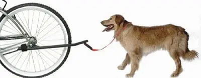 Sunlite Dog Leash For Bicycle Mounting 1