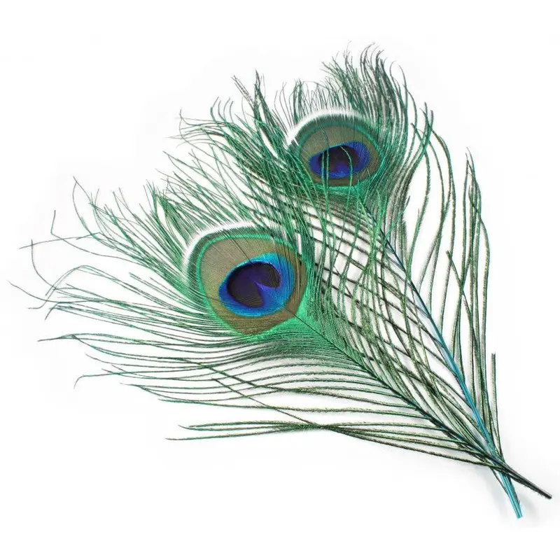 Veniard Peacock Eye Top Feathers – Natural Accent Material 1