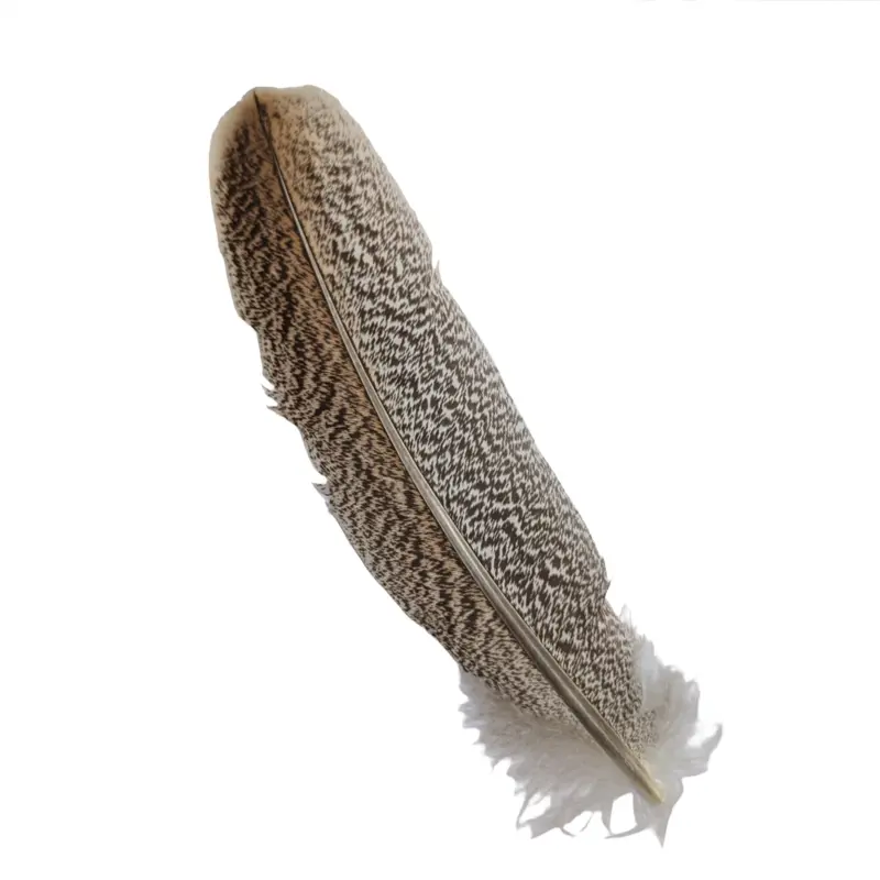 Veniard Premium Turkey Wing Feathers – First Grade 1