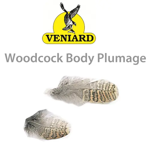 Veniard Woodcock Body Plumage – Premium Dry-Fly Material 1