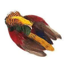 Wapsi Golden Pheasant Whole Skin – Premium Feather Stock 1