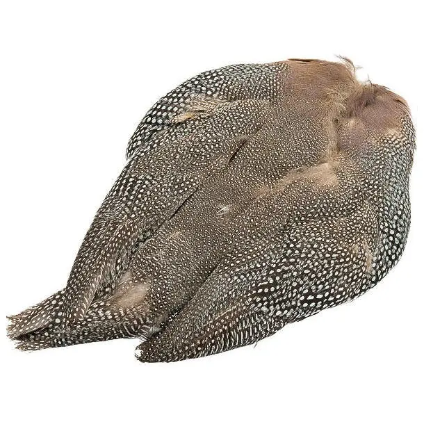 Wapsi Guinea Fowl Skins – Natural Color Variety 1