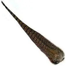 Wapsi Ringneck Cock Tail Clump 1